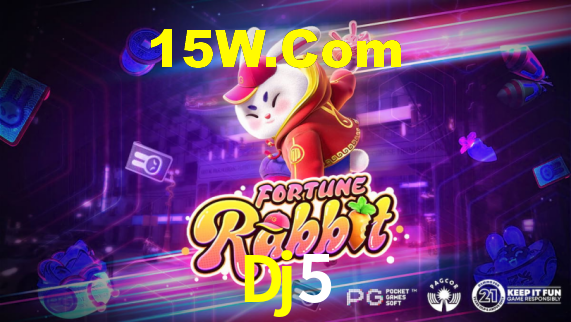 Dj5 - Installation Guide